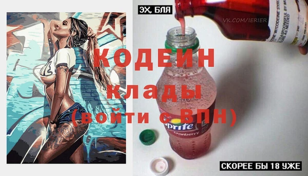 сатива Осинники