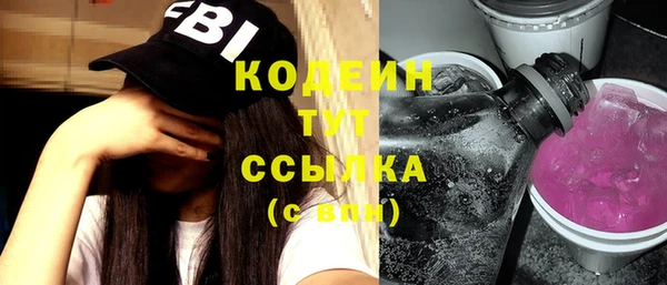 сатива Осинники
