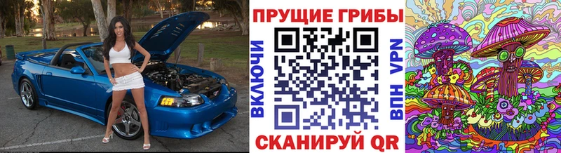 Галлюциногенные грибы Cubensis  Ленск 